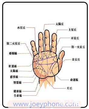 男人手相看哪只手 快速断运这样看更准确