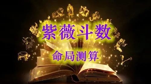 紫薇斗数在线排盘系统_最准紫薇斗数在线排盘_紫微斗数子时排盘