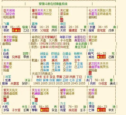 紫薇斗数在线排盘系统_紫微斗数子时排盘_最准紫薇斗数在线排盘