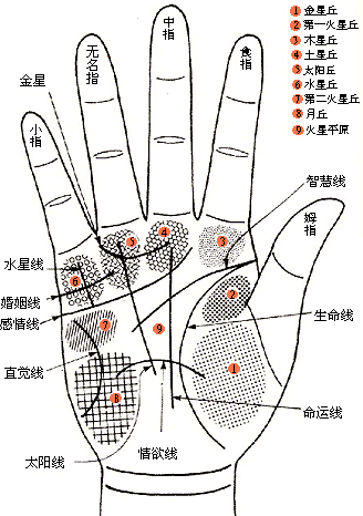 手相断掌算命图解_女断掌手相算命图解_男人两只手断掌手相算命图解