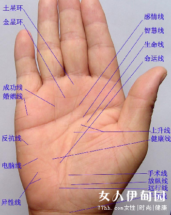 富贵手相米字纹_手相凤尾纹几种_男人富贵命罕见手相凤尾纹