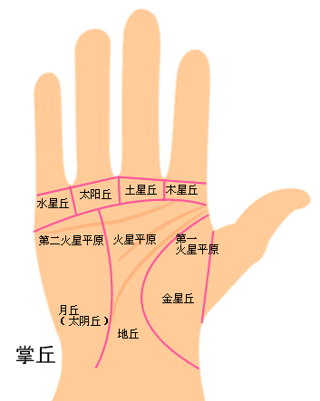 富贵手相米字纹_男人富贵命罕见手相凤尾纹_手相凤尾纹几种