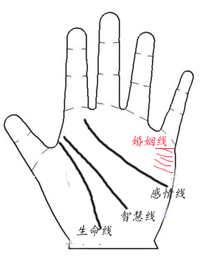 男人手相图解大全_男人手相算命图解大全_二婚男人手相图解