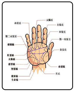 男人手相的事业线_男人手相事业线图解右手_男人手相没有太阳线