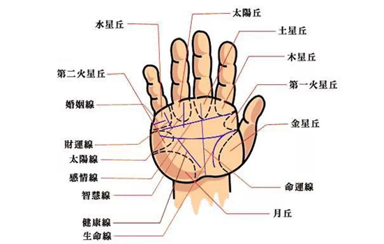 手相怎么看贵人 怎么看富贵命 手相看富贵 富贵的人