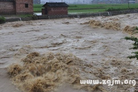 周公姐解梦梦见死人我在拿花坟地_梦见蟾蜍周公原版解梦_周公解梦梦见刮风下雨