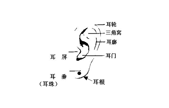 从面相学上来起看痣相，看命运的一切