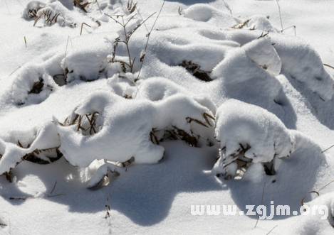 梦到雪地里行走，预示运势不错的3大梦境！