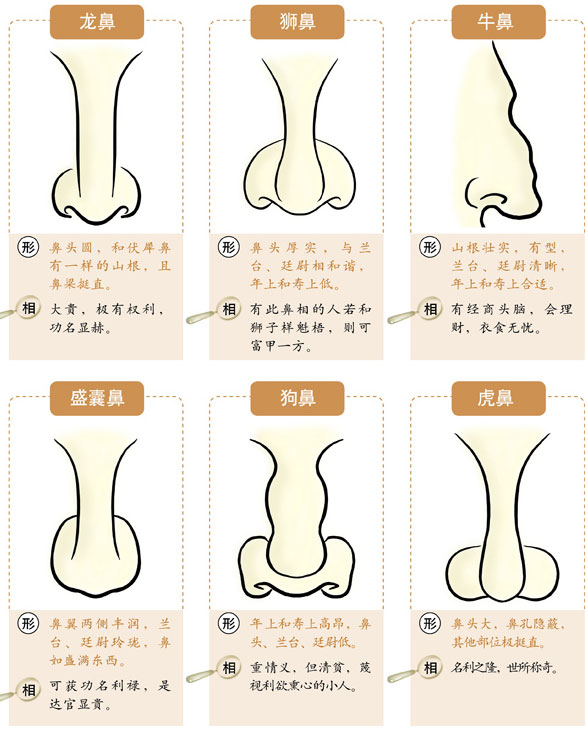 面相鼻子不正的人凡事不喜欢循正途去走大道