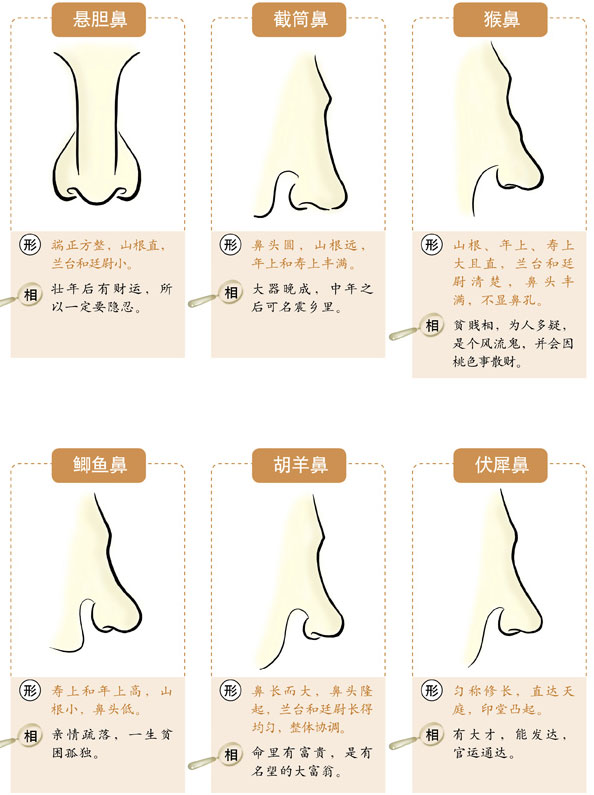 面相鼻子不正的人凡事不喜欢循正途去走大道