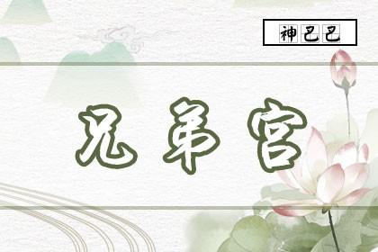 紫微风水堂：天府星落在兄弟宫