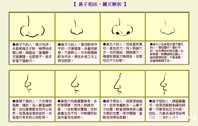 （李向东）鼻子的重要性，你有吗？