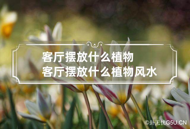 客厅摆放什么植物 客厅摆放什么植物风水好