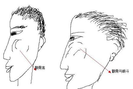 男人颧骨高好不好（盘点男人12大颧骨高面相）