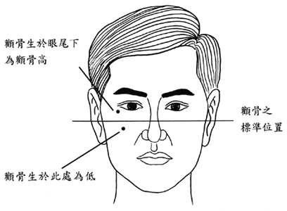 颧骨的高低如何判断