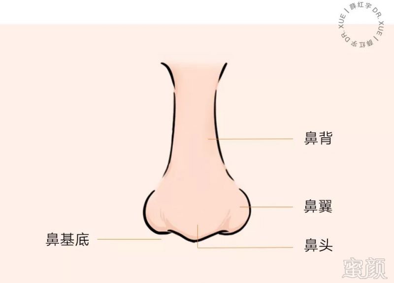 哪些面相的人好相处鼻梁高起鼻子不挺或露孔