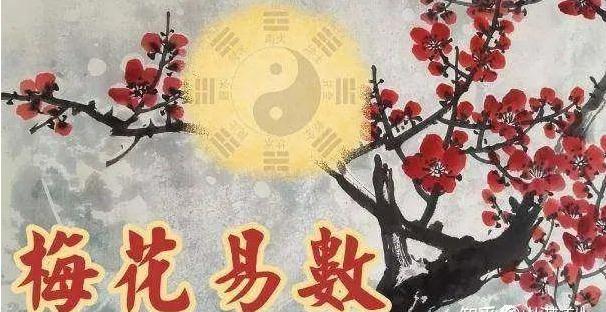 风水堂：牡丹花盛如此，亦有数乎