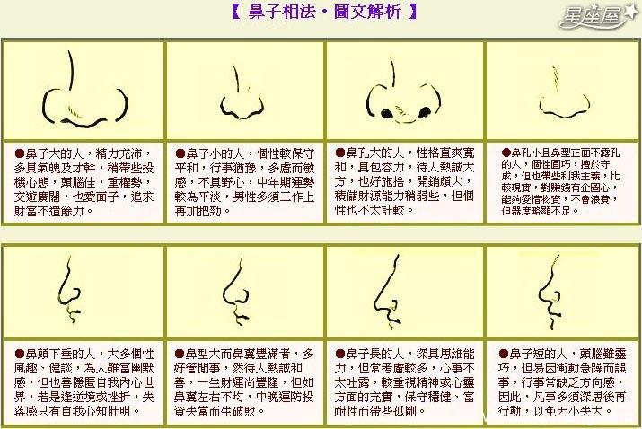 鼻子风水图解 14种鼻型图解