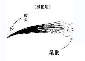 扫帚眉预示你不聚财，手里存不住钱